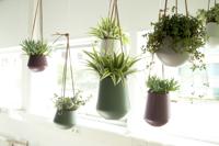 present time PT2845GR plantenbak Binnen Plantenpot Ophanging Keramisch Groen - thumbnail