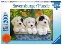 Ravensburger Ravensburger puzzel Schattige puppies - 200 stukjes - thumbnail