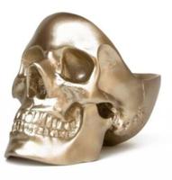Schedel opberger - thumbnail