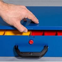 Allit EuroPlus Pro M 44H-48 Assortimentskoffer (b x h x d) 440 x 70 x 370 mm Aantal vakken: 48 Inhoud 1 stuk(s) - thumbnail