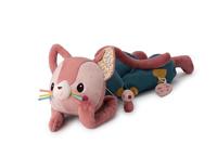 Grote ontdekkingskat LILLIPUTIENS rozen - thumbnail