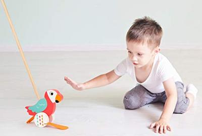 Duwspeelgoed voor baby PAPEGAAI LORI van hout SMALL FOOT® meerkleurig Duwspeelgoed voor baby PAPEGAAI LORI van hout SMALL FOOT® meerkleurig