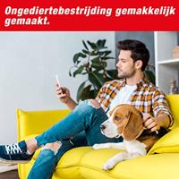 Swissinno Fangmelder Connect SuperCat Muizenval Functies: Lokstof 1 stuk(s) - thumbnail