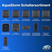 REV 0004030400 Wandontactdoos met klapdeksel Compleet AquaStorm Lichtgrijs, Zwart 1 stuk(s) - thumbnail