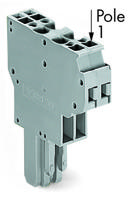 WAGO 769-124 Female connector 5 mm Spanveer Toewijzing: L Grijs 25 stuk(s) - thumbnail