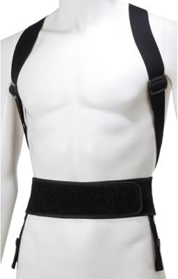 Amplifi Reactor Pack Rugbeschermer