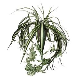Mica Decorations kunstplant chlorophytum 45cm groen