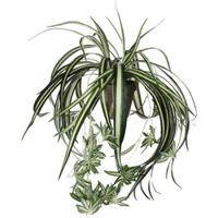 Mica Decorations kunstplant chlorophytum 45cm groen - thumbnail