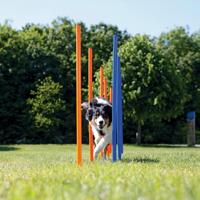 TRIXIE DOG ACTIVITY AGILITY SLALOM STOKKEN BLAUW / ORANJE 115X3 CM 12 ST - thumbnail