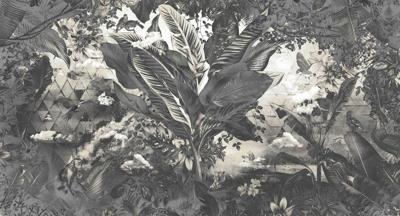 Muance Muance Fotobehang Bongo congo - MU12084