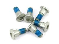 TRW bouten set screw set 6pcs. m8x1,25 - thumbnail