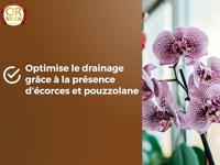 Orchideeëngrond - BRUIN GOUD - OBRTORC6U - 6L - Bevordert de groei - thumbnail