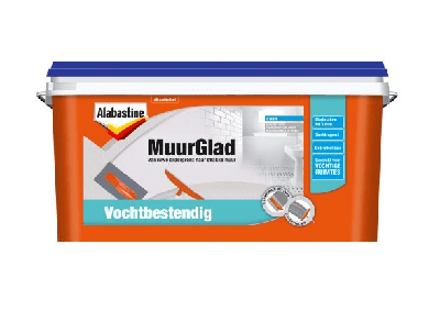 Muurglad vochtbestendig 5l Alabastine - Alabastine