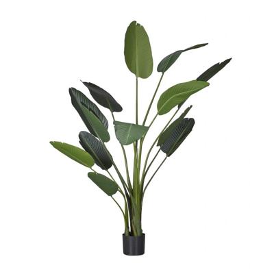 Kunstplant Strelitzia L