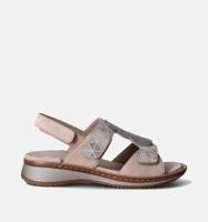 Ara 1229002 - alle - thumbnail