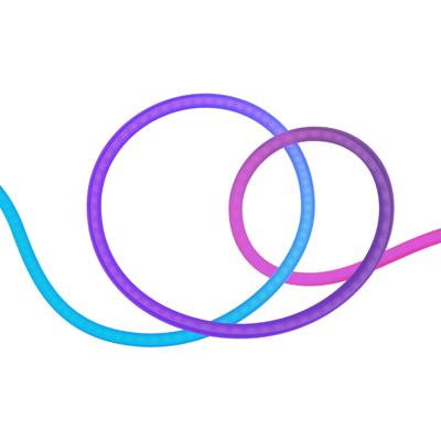 HOMBLI Smart Neon Tube - 5m RGBIC Smartverlichting