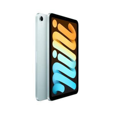 Apple iPad mini (A17 Pro): 8,3 inch Liquid Retina-display, 512 GB, wifi 6E, 12 MP camera aan de voorkant/12 MP camera aan de achterkant, Touch ID, batterij voor een hele dag – Blauw