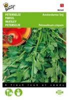 Peterselie Amsterdamse Snij - thumbnail