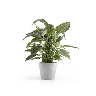 Ecopots Amsterdam kunststof bloempot Grijs/Wit - Ø 18 cm Ecopots Amsterdam kunststof bloempot Grijs/Wit - Ø 18 cm