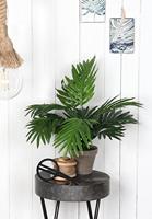 Decoratieve plant Mica Decorations 45 x 60 cm Keramisch PVC Palmboom - thumbnail