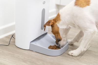 Trixie voederautomaat tx8 2.0 wit / grijs