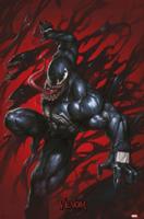 Poster Marvel - Venom - Symbionts 61x91,5cm - thumbnail