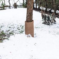 Connex Kokos-Viltmat Isolerend 0,5X1,5M - FLOR80279 - thumbnail