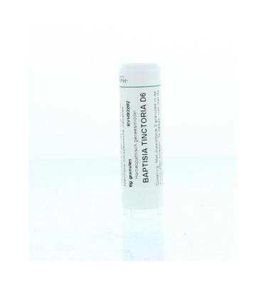 Homeoden Heel Baptisia tinctoria D6 6 Gram