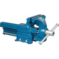 Durlach 3040000120 Bankschroef 3040000120 - thumbnail