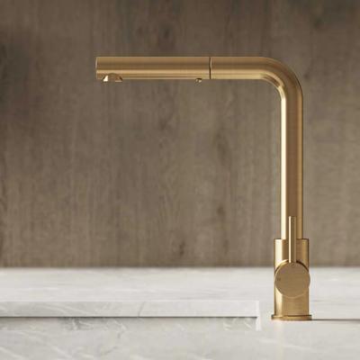 Hotbath Keukenmengkraan Fellow Draaibaar Uittrekbare Uitloop 32.4 cm Geborsteld Messing PVD