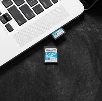 SD Geheugenkaart Kingston SDG3/512GB 512 GB - thumbnail
