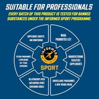 Velocity Fuel Energy - Carb & Electrolyte Energy Powder | Applied - thumbnail