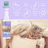 Verzachtende Crème Menforsan 60 ml - thumbnail