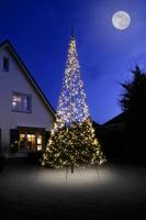 Fairybell Lichtboom vlaggenmast l600cm 1200led warm wit - thumbnail