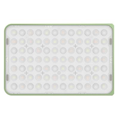 amaran Ace 25c Green