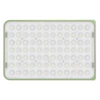 amaran Ace 25c Green - thumbnail