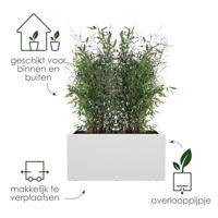 Elho Vivo Next plantenbak met wielen 80cm wit - thumbnail