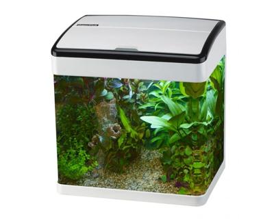 Superfish Panorama 50 Wit - Modern Aquarium 50L met LED - Inclusief Filter en Pomp