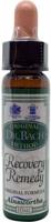 Ainsworths Recovery remedy 10 Milliliter - thumbnail