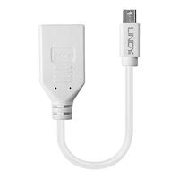 Lindy Kabel / Adapter mini-DP DP Wit kabeladapter/verloopstukje - thumbnail