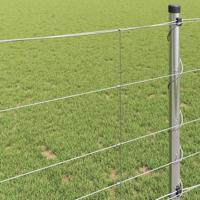 Weidehekwerk Zilver 50 x 1 m Gegalvaniseerd staal - thumbnail