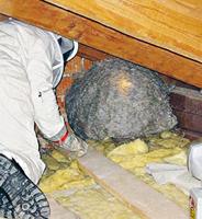 Birchmeier Mini-Flex 54 cm - thumbnail