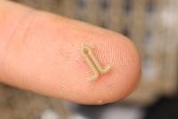 Korda Extenda Stops Small - thumbnail