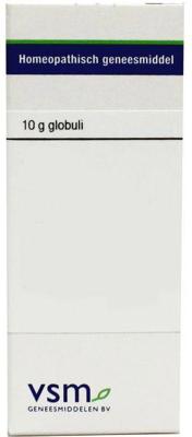 VSM Ribes nigrum D30 10 Gram