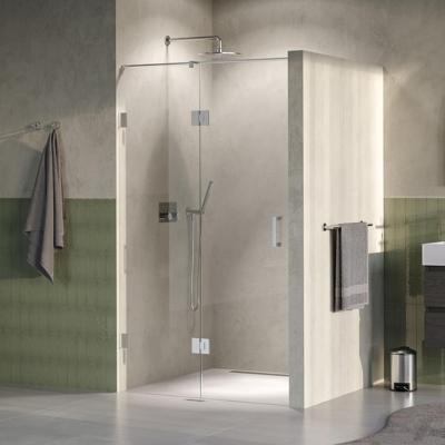 Brauer Void - Nisdeur - 2-Delig - Helder Glas - 110 x 200 cm - Omkeerbaar - met Draaideur 60 cm - Aan Glas - incl. Glascoating - PVD RVS-Kleurig