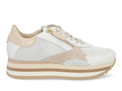 DL Sport 6982 vers 01 white Wit maat 39