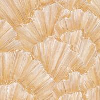 Emil & Hugo Moana 300962 - thumbnail