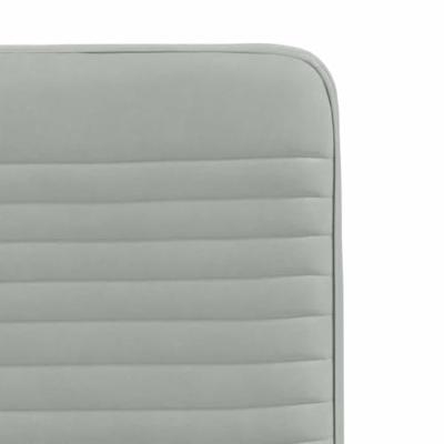 Eetkamerstoelen 2 st fluweel lichtgrijs