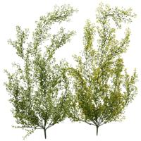 Boltze Home decoratie hangplant groen - thumbnail