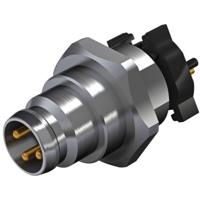 Weidmüller 2423100000 Sensor/actuator inbouwconnector M8 Aantal polen (sensoren): 4 Stekker, inbouw verticaal 25 stuk(s) - thumbnail